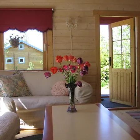 Lepametsa Nasva (Saare)