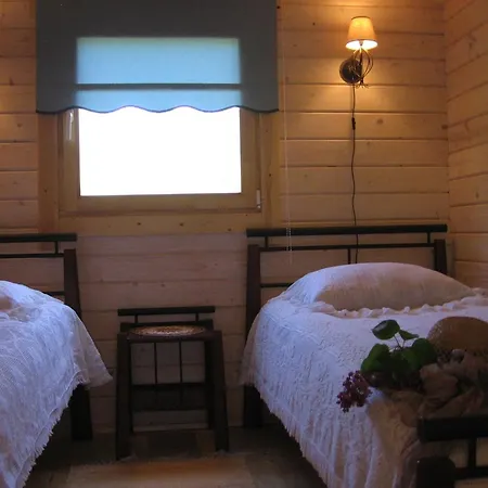 Lepametsa Nasva (Saare)