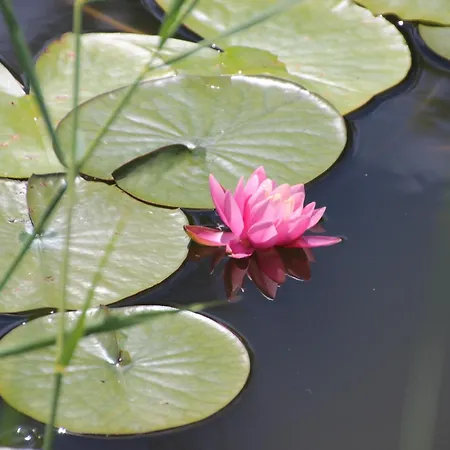 Prázdninový areál Lepametsa 3*