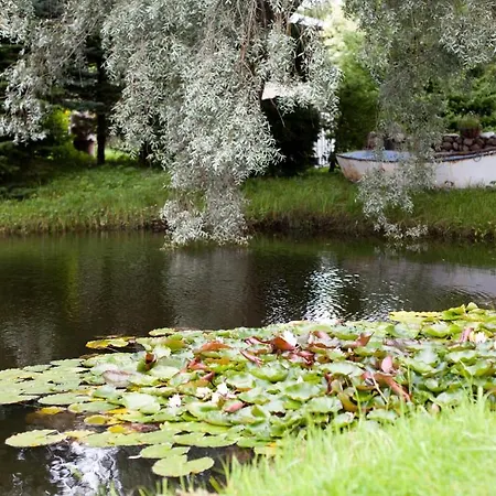 Lepametsa Nasva (Saare)