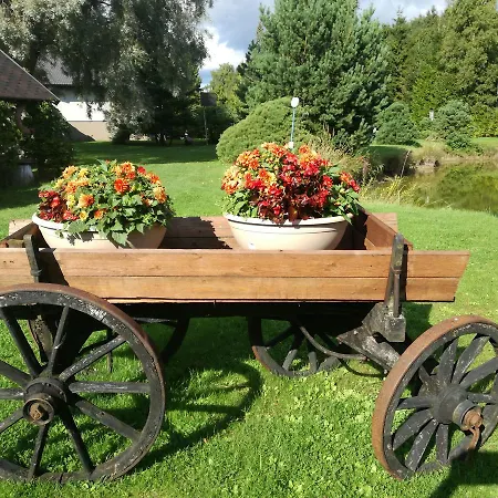 Lepametsa