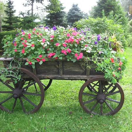 Prázdninový areál Lepametsa Nasva (Saare)