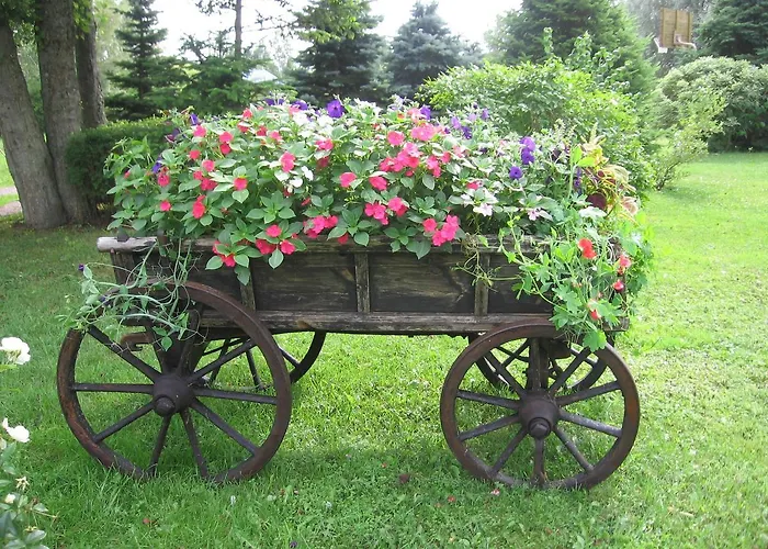 Parco vacanze Lepametsa Nasva (Saare)