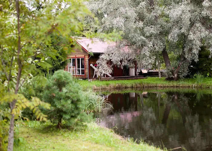 Parco vacanze Lepametsa Nasva (Saare)